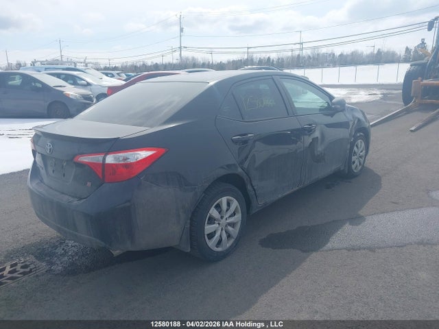 2T1BURHE3GC636204 Toyota Corolla L/le/le Pls/prm/s/s Pls