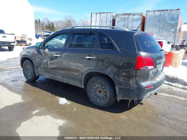 2011 Kia Sorento Ex მანქანა იყიდება აუქციონზე, vin: 5XYKUDA23BG167325, აუქციონის ნომერი: 12580233