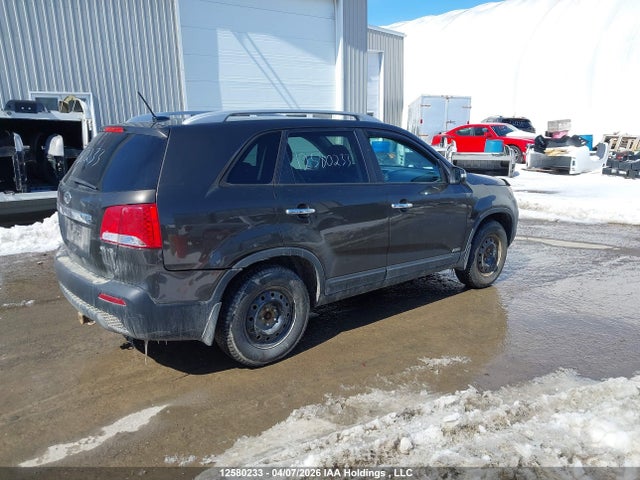 2011 Kia Sorento Ex მანქანა იყიდება აუქციონზე, vin: 5XYKUDA23BG167325, აუქციონის ნომერი: 12580233