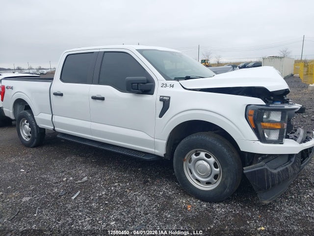 Продаж на аукціоні авто 2023 Ford F150 Supercrew, vin: 1FTFW1E85PFA45987, номер лоту: 12580450