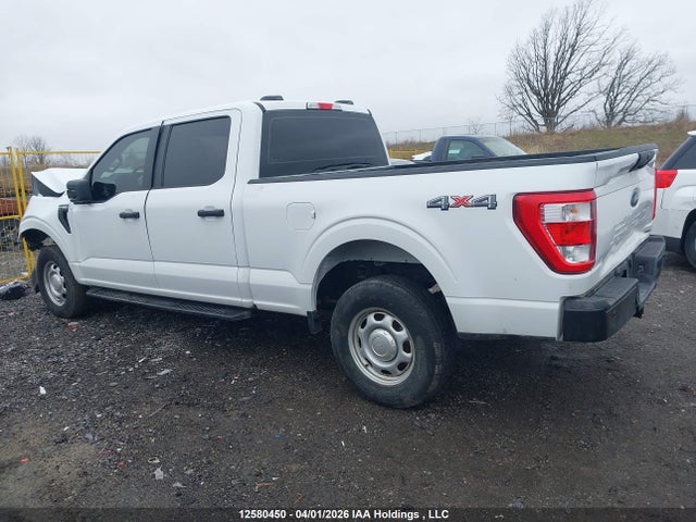 Продаж на аукціоні авто 2023 Ford F150 Supercrew, vin: 1FTFW1E85PFA45987, номер лоту: 12580450
