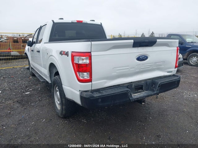 Продаж на аукціоні авто 2023 Ford F150 Supercrew, vin: 1FTFW1E85PFA45987, номер лоту: 12580450