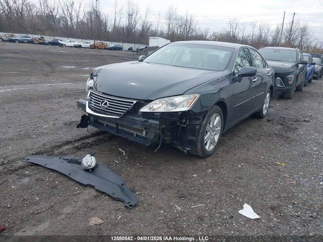 12580542 :رقم المزاد ، JTHBJ46GX82256310 vin ، 2008 Lexus Es 350 350 مزاد بيع