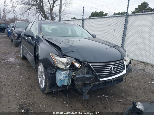 12580542 :رقم المزاد ، JTHBJ46GX82256310 vin ، 2008 Lexus Es 350 350 مزاد بيع