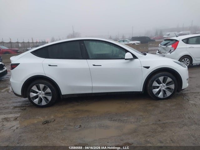 12580558 :رقم المزاد ، 7SAYGDEE2PF773531 vin ، 2023 Tesla Model Y مزاد بيع