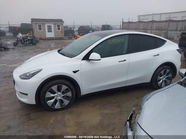 12580558 :رقم المزاد ، 7SAYGDEE2PF773531 vin ، 2023 Tesla Model Y مزاد بيع
