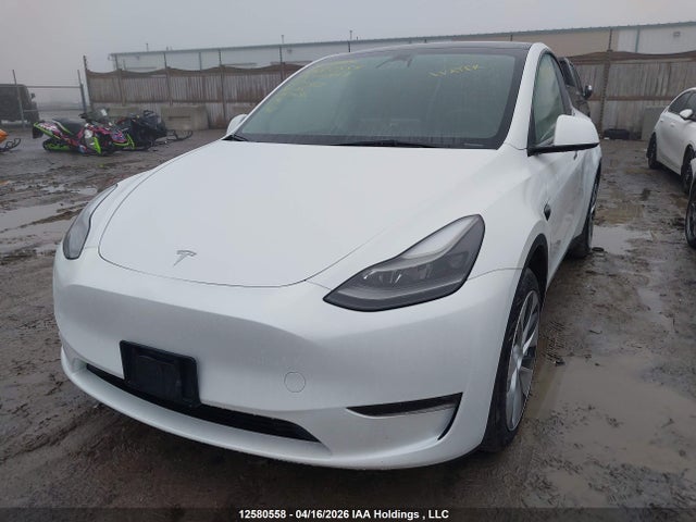 12580558 :رقم المزاد ، 7SAYGDEE2PF773531 vin ، 2023 Tesla Model Y مزاد بيع