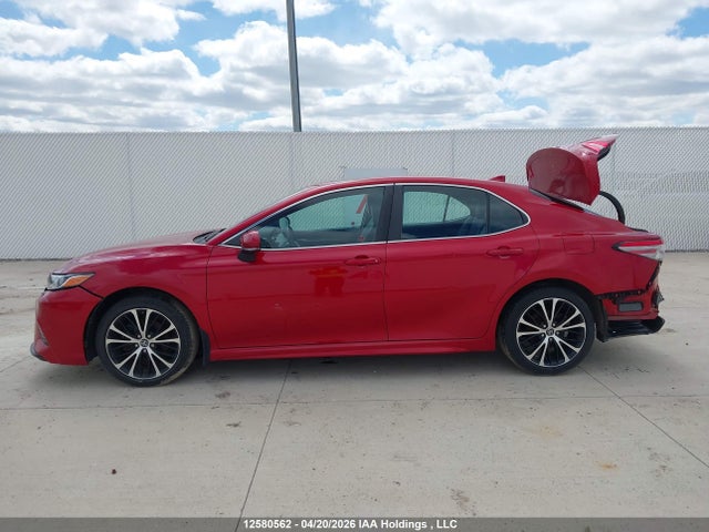 4T1B11HKXKU233232 Toyota Camry L/le/xle/se/xse