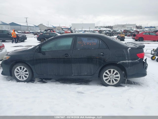12567887 :رقم المزاد ، 2T1BU40E49C014065 vin ، 2009 Toyota Corolla S مزاد بيع