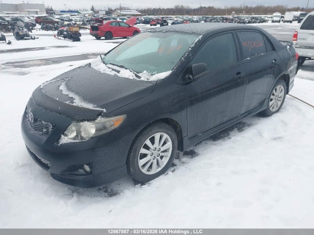 12567887 :رقم المزاد ، 2T1BU40E49C014065 vin ، 2009 Toyota Corolla S مزاد بيع