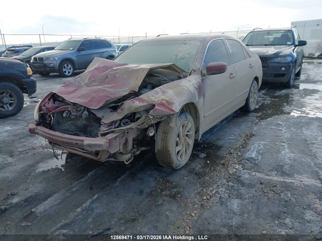 12569471 :رقم المزاد ، 1HGCM55306A803980 vin ، 2006 Honda Accord Se مزاد بيع