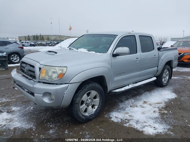 12580762 :رقم المزاد ، 5TELU42N68Z483491 vin ، 2008 Toyota Tacoma Base V6 مزاد بيع