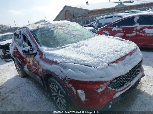 2021 Ford Escape Titanium Hybrid მანქანა იყიდება აუქციონზე, vin: 1FMCU9DZ9MUB05693, აუქციონის ნომერი: 12580802