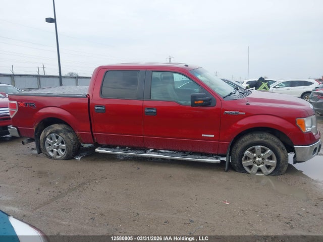 1FTFW1ET5EKG38306 Ford F-150 Xlt