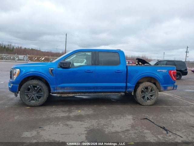 Aukcja sprzedaży 2021 Ford F-150 Xlt, vin: 1FTFW1E50MFB97015, numer aukcji: 12580833