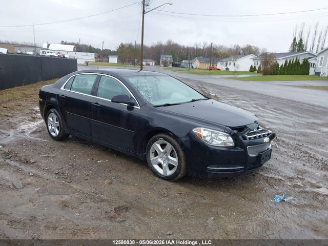 Auction sale of the 2011 Chevrolet Malibu Ls, vin: 1G1ZB5EU2BF184361, lot number: 12580838