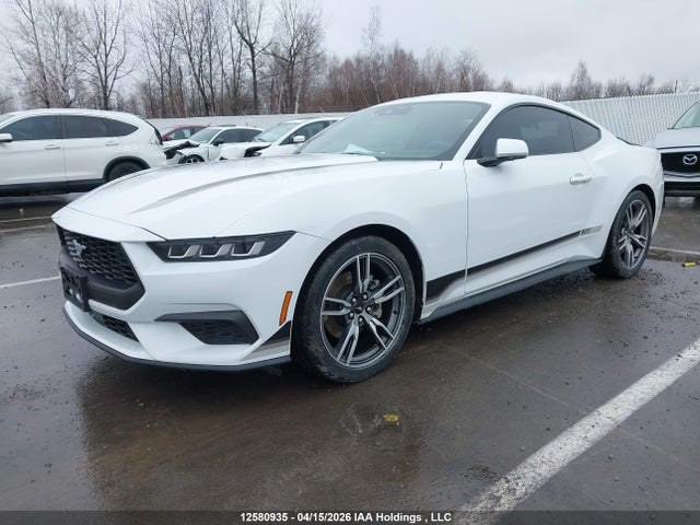 12580935 :رقم المزاد ، 1FA6P8TH2S5109562 vin ، 2025 Ford Mustang Ecoboost مزاد بيع