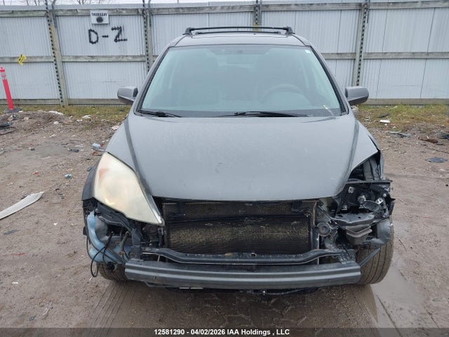 Продаж на аукціоні авто 2010 Honda Cr-v Ex-l, vin: 5J6RE4H70AL800843, номер лоту: 12581290