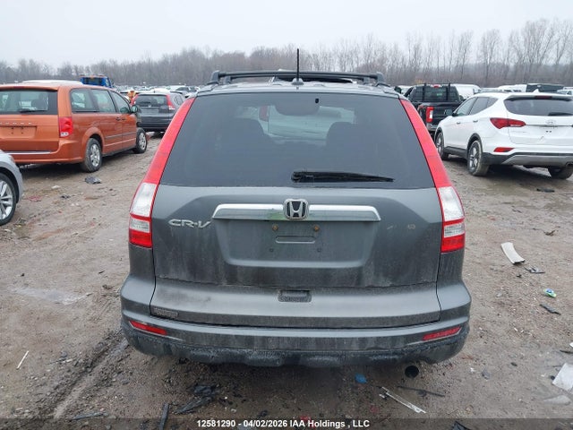 Продаж на аукціоні авто 2010 Honda Cr-v Ex-l, vin: 5J6RE4H70AL800843, номер лоту: 12581290
