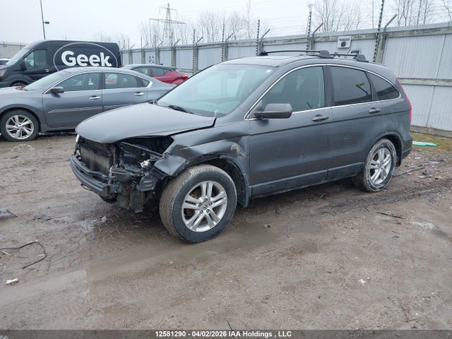 Продаж на аукціоні авто 2010 Honda Cr-v Ex-l, vin: 5J6RE4H70AL800843, номер лоту: 12581290