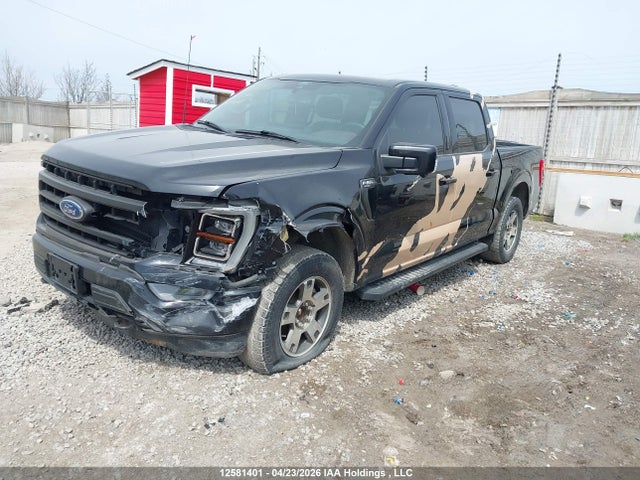 1FTEW1EP6MKE49841 Ford F150 Supercrew