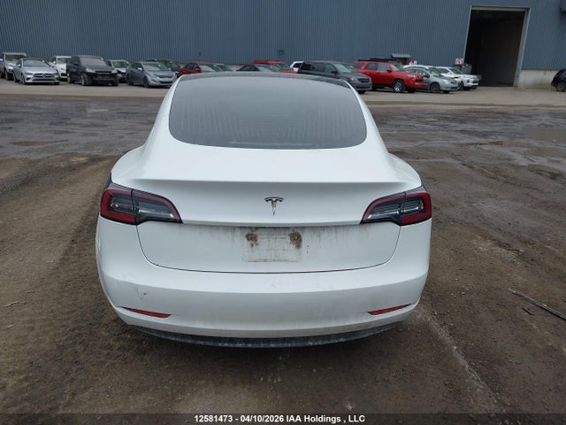 Tesla Model 3 Standard Range Plus 2020 5YJ3E1EA5LF715593 Image 15