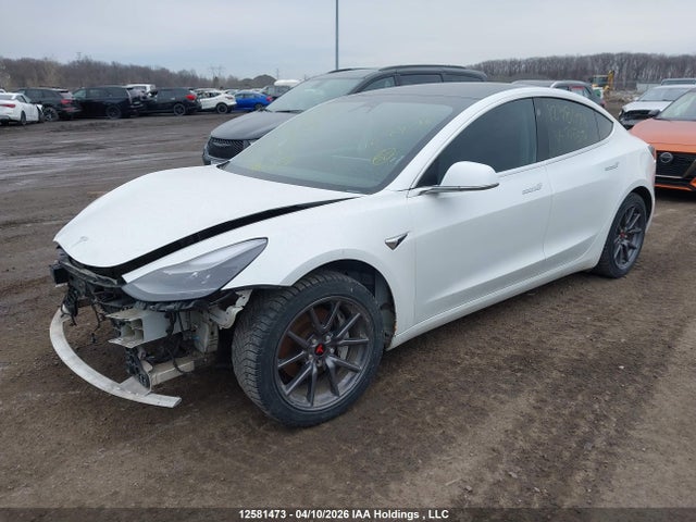 Tesla Model 3 Standard Range Plus 2020 5YJ3E1EA5LF715593 Image 2