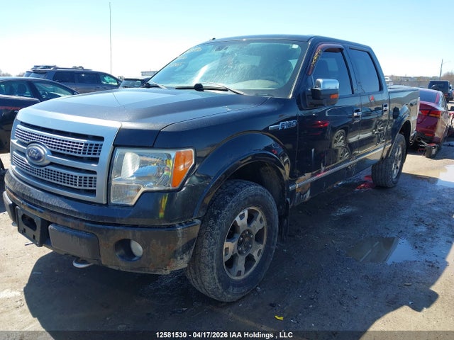 Продажа на аукционе авто 2010 Ford F-150 Fx4/harley-davidson/lariat/xlt, vin: 1FTFW1EV0AFC58505, номер лота: 12581530