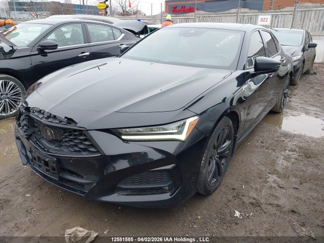 Продаж на аукціоні авто 2021 Acura Tlx, vin: 19UUB6F57MA802256, номер лоту: 12581585