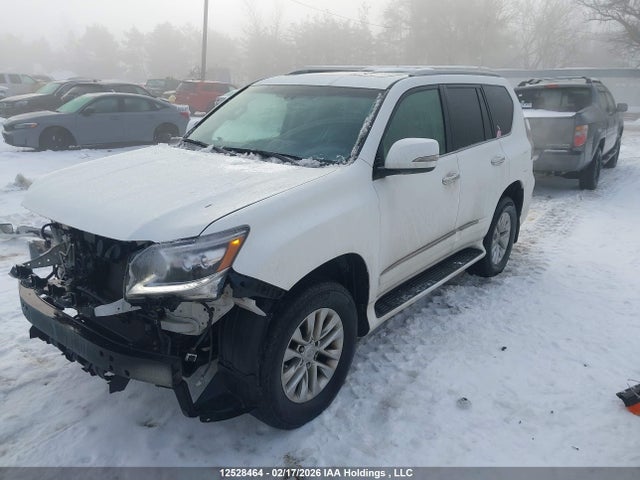JTJJM7FX6G5121406 Lexus GX 460
