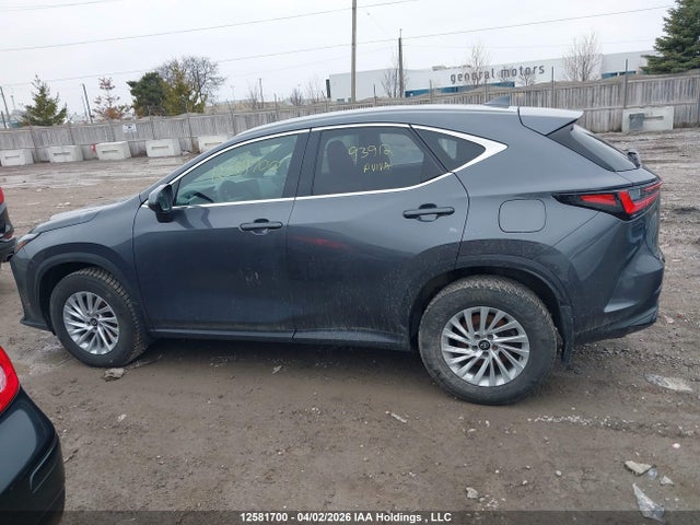 Продаж на аукціоні авто 2022 Lexus Nx 350, vin: 2T2GGCEZ1NC015683, номер лоту: 12581700