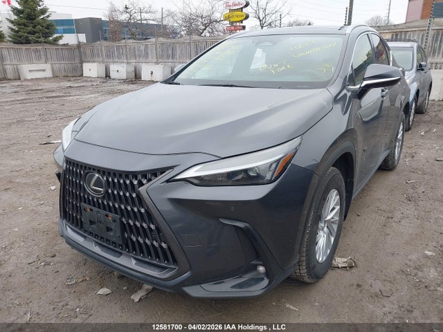 Продаж на аукціоні авто 2022 Lexus Nx 350, vin: 2T2GGCEZ1NC015683, номер лоту: 12581700