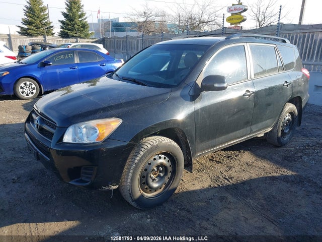 2011 Toyota Rav4 მანქანა იყიდება აუქციონზე, vin: 2T3BF4DV5BW147546, აუქციონის ნომერი: 12581793