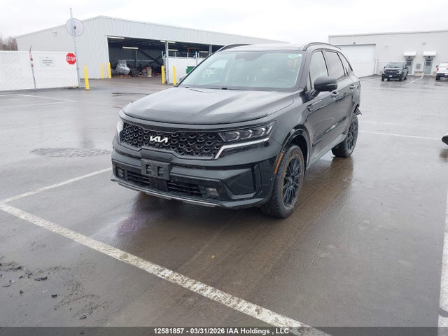Aukcja sprzedaży 2023 Kia Sorento 2.5t Sx W/black Leather/2.5t Sx W/burgundy Leather, vin: 5XYRKDLF3PG169006, numer aukcji: 12581857