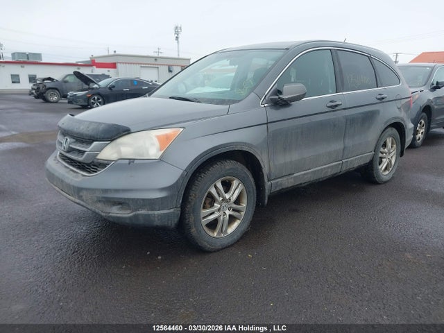 2011 Honda Cr-v Ex მანქანა იყიდება აუქციონზე, vin: 5J6RE4H53BL811304, აუქციონის ნომერი: 12564460