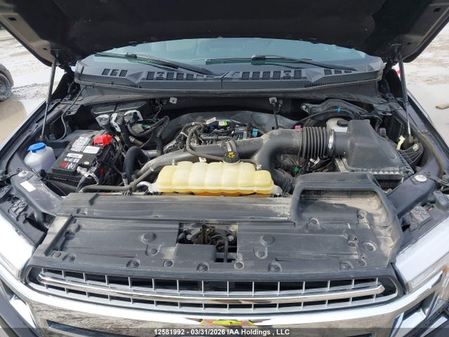 Продажа на аукционе авто 2019 Ford F-150 Xlt, vin: 1FTEW1EP1KFC59256, номер лота: 12581992