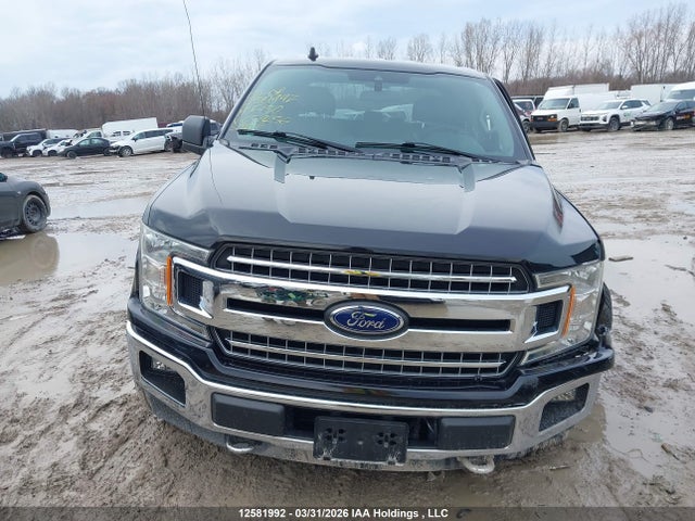 Продажа на аукционе авто 2019 Ford F-150 Xlt, vin: 1FTEW1EP1KFC59256, номер лота: 12581992