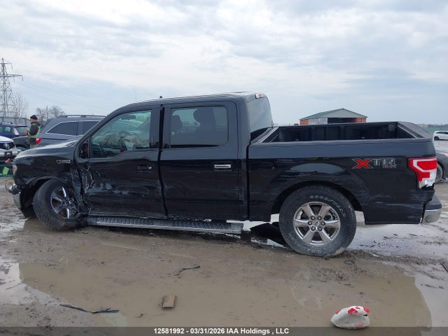 Продажа на аукционе авто 2019 Ford F-150 Xlt, vin: 1FTEW1EP1KFC59256, номер лота: 12581992