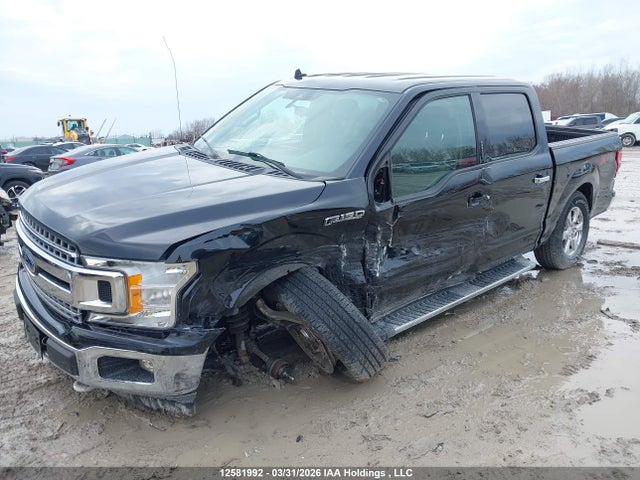 Продажа на аукционе авто 2019 Ford F-150 Xlt, vin: 1FTEW1EP1KFC59256, номер лота: 12581992