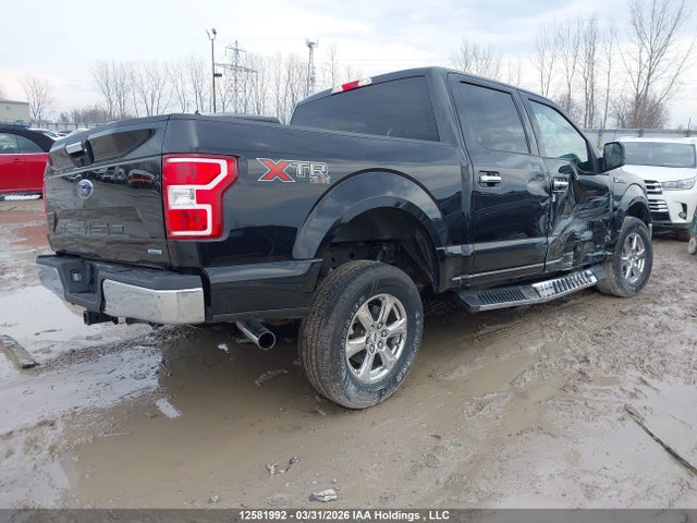 Продажа на аукционе авто 2019 Ford F-150 Xlt, vin: 1FTEW1EP1KFC59256, номер лота: 12581992