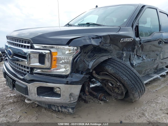 Продажа на аукционе авто 2019 Ford F-150 Xlt, vin: 1FTEW1EP1KFC59256, номер лота: 12581992