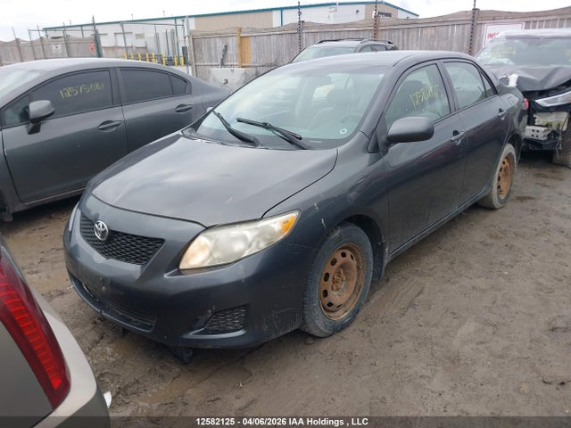 2009 Toyota Corolla S/le/xle მანქანა იყიდება აუქციონზე, vin: 2T1BU40E19C142490, აუქციონის ნომერი: 12582125