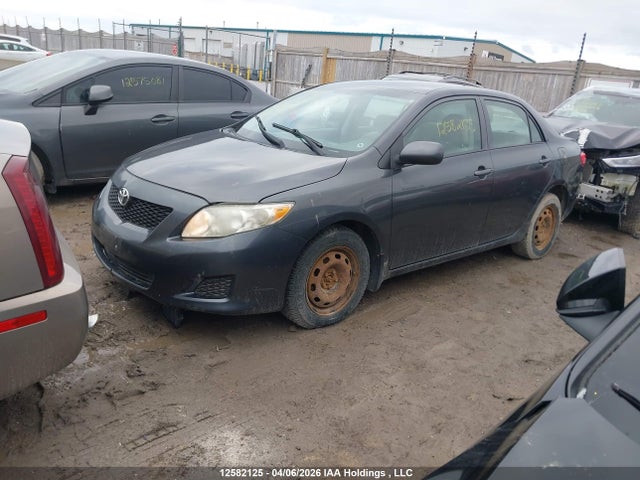2009 Toyota Corolla S/le/xle მანქანა იყიდება აუქციონზე, vin: 2T1BU40E19C142490, აუქციონის ნომერი: 12582125