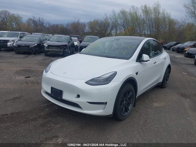 Tesla Model Y 2024 7SAYGDEE1RF098869 Image 2