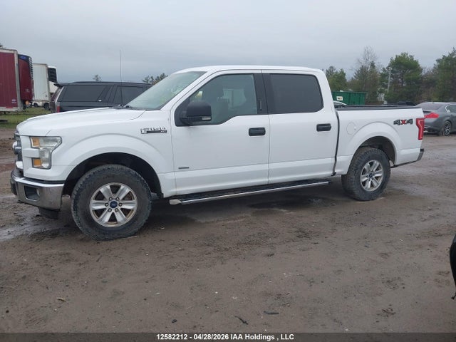 12582212 :رقم المزاد ، 1FTEW1EP2FKE94407 vin ، 2015 Ford F150 Supercrew مزاد بيع
