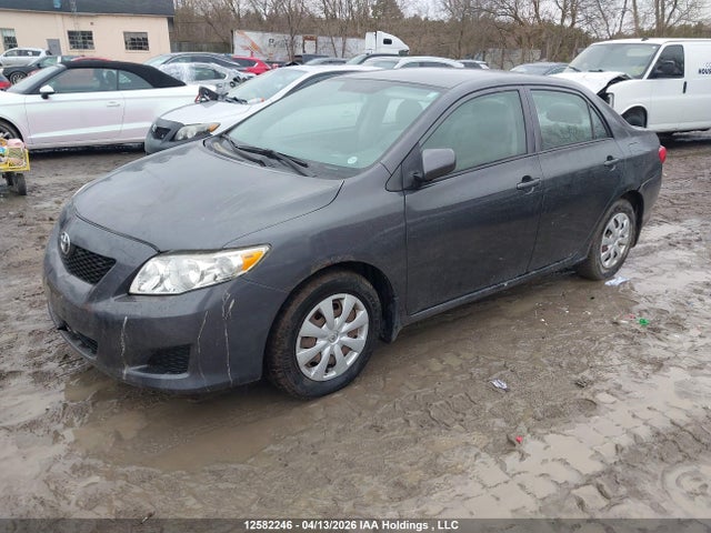 2009 Toyota Corolla S/le/xle მანქანა იყიდება აუქციონზე, vin: 2T1BU40E69C190258, აუქციონის ნომერი: 12582246