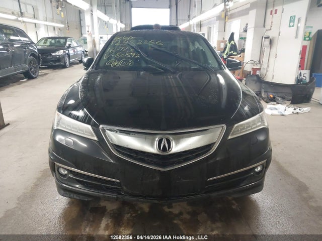 19UUB3F70GA801597 Acura TLX