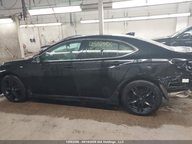 19UUB3F70GA801597 Acura TLX