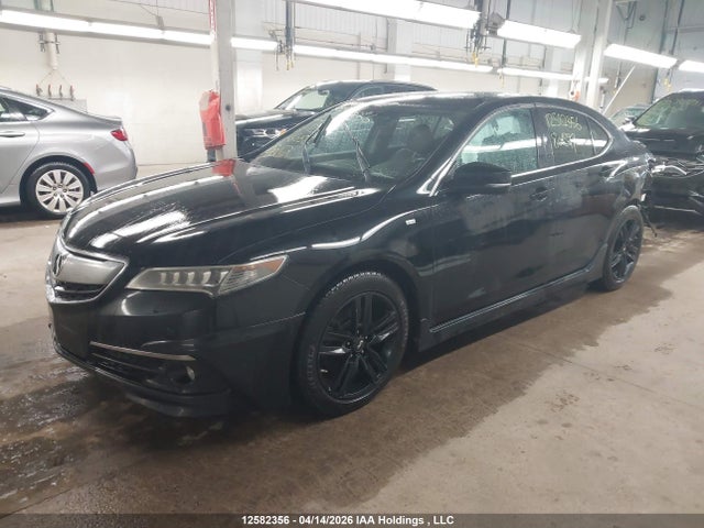 19UUB3F70GA801597 Acura TLX