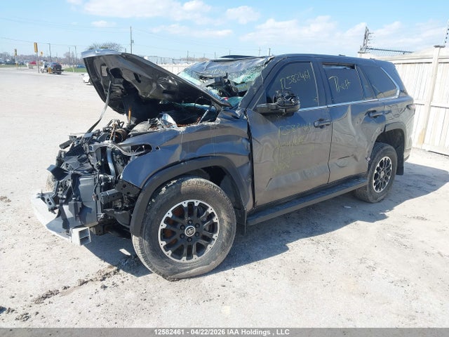 Продаж на аукціоні авто 2024 Toyota Sequoia Sr5/ltd/platinum/capstone/trd Pro, vin: 7SVAAABA3RX041617, номер лоту: 12582461